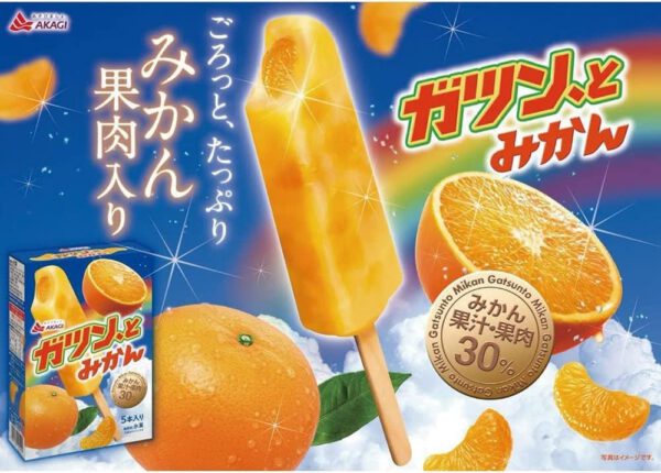 赤城乳業 ガツンと みかん 58mlX5本 ×7箱 - 画像 (3)