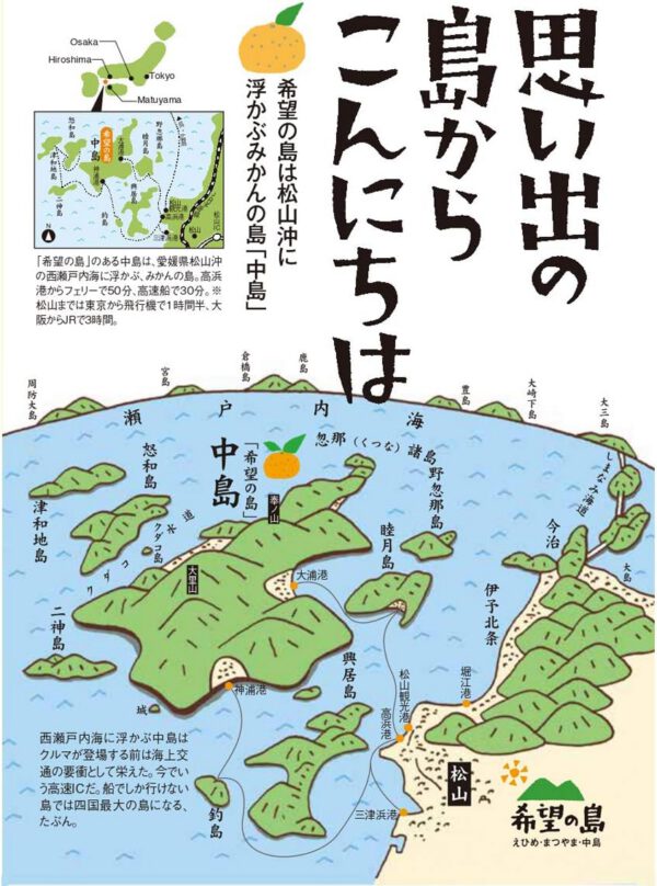 希望の島 レッドキウイ 2kg 特選品 中玉~大玉 レインボーレッドキウイと同品種 国産 愛媛 中島産 キウイ - 画像 (2)