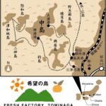 希望の島 レッドキウイ 2kg 特選品 中玉~大玉 レインボーレッドキウイと同品種 国産 愛媛 中島産 キウイ - 画像 (5)