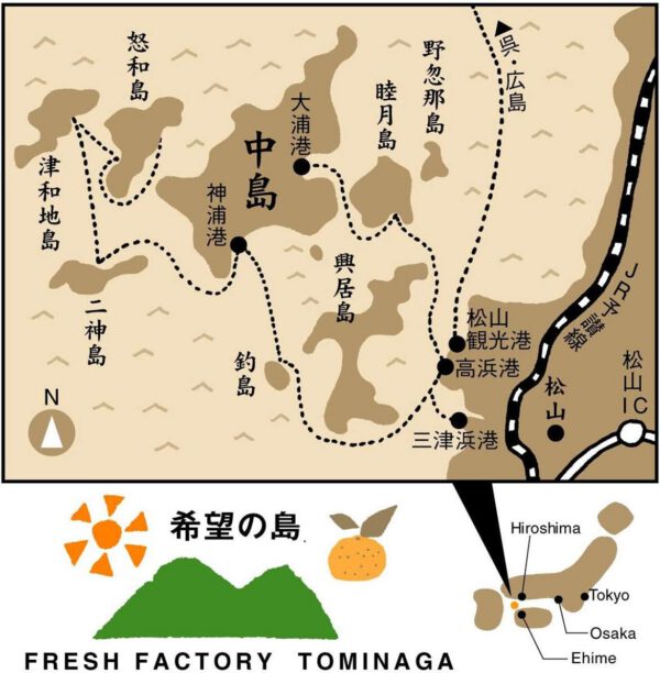 希望の島 レッドキウイ 2kg 特選品 中玉~大玉 レインボーレッドキウイと同品種 国産 愛媛 中島産 キウイ - 画像 (5)