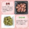 でん六 小袋甘納豆テトラ 235g × 6袋 - 画像 (4)