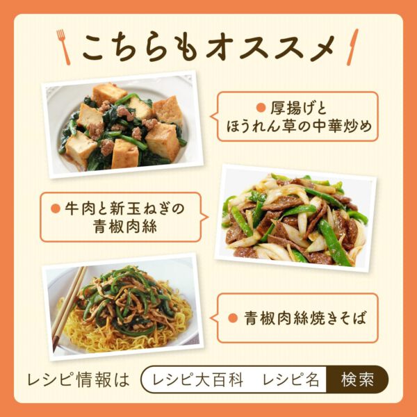味の素 Cook Do クックドゥ 青椒肉絲用 100g ×10個 - 画像 (4)
