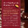 【業務用 製菓用】 VANHOUTEN (バンホーテン) ダークチョコレート 58.2% 1kg - 画像 (9)