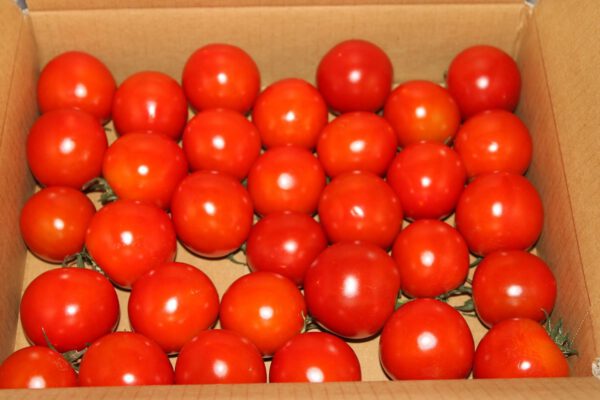 北海道ふらの産 フルーツトマト 1kg - 画像 (2)