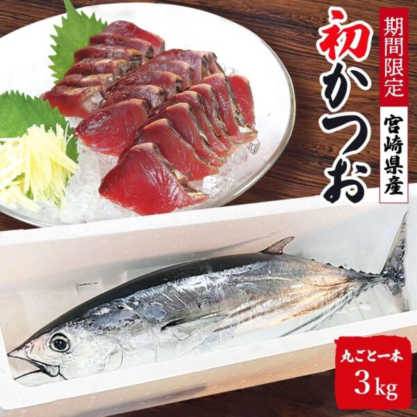宮崎県産 一本釣り 初かつお 初ガツオ 1尾 約3kg セミドレス 初鰹 天然鰹 鰹 刺身 たたき