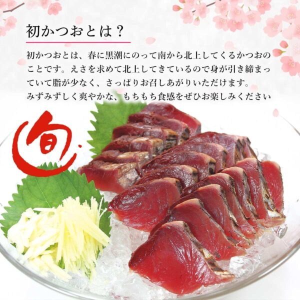 宮崎県産 一本釣り 初かつお 初ガツオ 1尾 約3kg セミドレス 初鰹 天然鰹 鰹 刺身 たたき - 画像 (4)