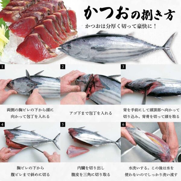 宮崎県産 一本釣り 初かつお 初ガツオ 1尾 約3kg セミドレス 初鰹 天然鰹 鰹 刺身 たたき - 画像 (5)