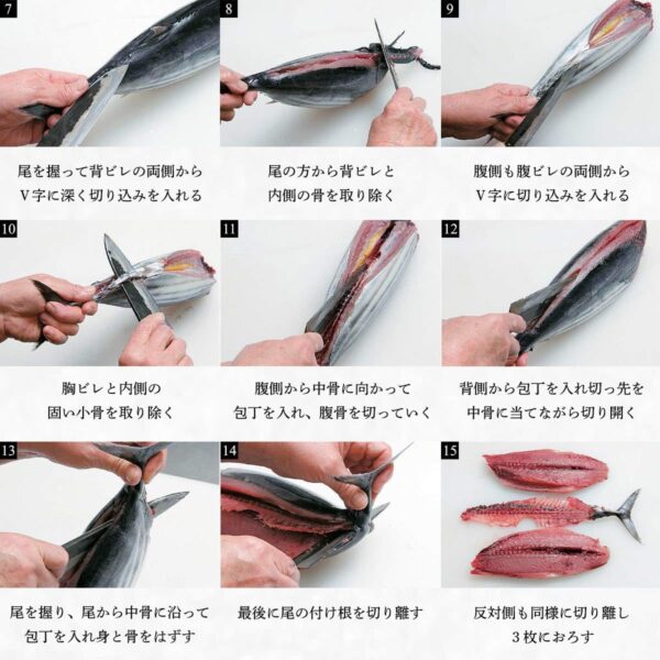 宮崎県産 一本釣り 初かつお 初ガツオ 1尾 約3kg セミドレス 初鰹 天然鰹 鰹 刺身 たたき - 画像 (6)