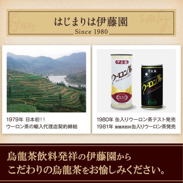 烏龍茶 伊藤園 ウーロン茶 500ml×24本 - 画像 (2)