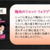 LABEYRIE(ラベリ) 鴨肉 の リエット フォアグラ 入り 90g (ペアリング 白ワイン) - 画像 (3)