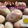 北海道産 じゃがいも デストロイヤー(グランドペチカ) (3kg) - 画像 (3)