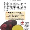 北海道産 じゃがいも デストロイヤー(グランドペチカ) (3kg) - 画像 (4)