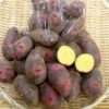 北海道産 じゃがいも デストロイヤー(グランドペチカ) (3kg) - 画像 (5)