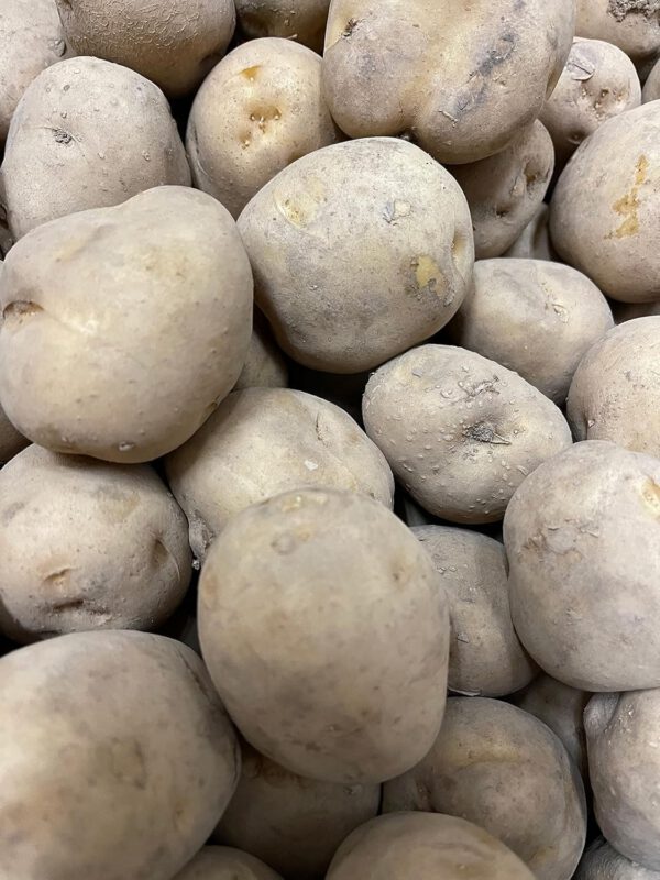 北海道産 きたあかり じゃがいも ジャガイモ (5kg)