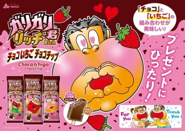 赤城乳業 ガリガリ君リッチ チョコいちごチョコチップ100ml×24袋 - 画像 (2)