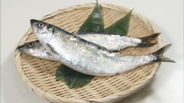 北海道産 脂ニシン にしん 丸のまま 2尾入り約1kg 冷蔵