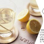 ミツカン リンゴ酢 500ml×10本 - 画像 (5)