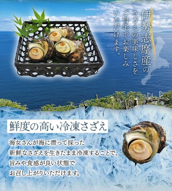 さざえ 中サイズ １０個 海女漁 - 画像 (3)