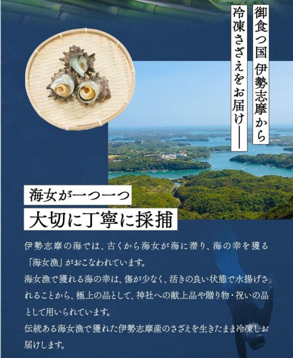 さざえ 中サイズ １０個 海女漁 - 画像 (5)