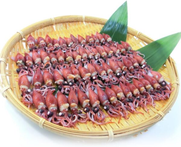 ホタルイカ 春の新物 釜揚げ 蛍烏賊 ボイルホタルイカ 富山湾産350g×2 冷凍・釜揚ホタルイカ2 P・ (2パック)