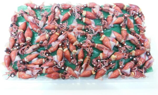 ホタルイカ 春の新物 釜揚げ 蛍烏賊 ボイルホタルイカ 富山湾産350g×2 冷凍・釜揚ホタルイカ2 P・ (2パック) - 画像 (2)