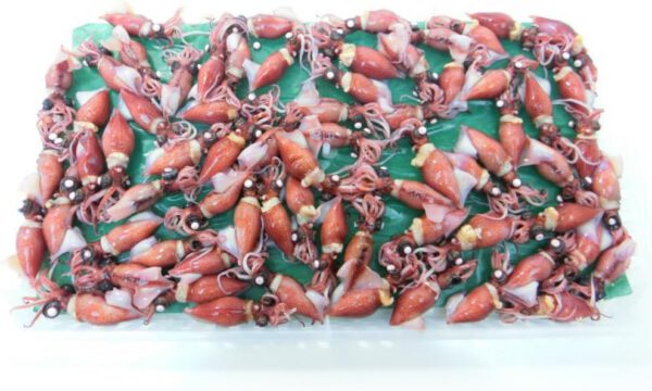 ホタルイカ 春の新物 釜揚げ 蛍烏賊 ボイルホタルイカ 富山湾産350g×2 冷凍・釜揚ホタルイカ2 P・ (2パック) - 画像 (2)