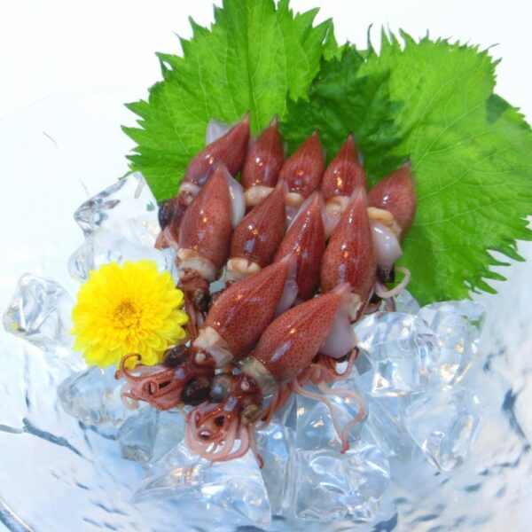 ホタルイカ 春の新物 釜揚げ 蛍烏賊 ボイルホタルイカ 富山湾産350g×2 冷凍・釜揚ホタルイカ2 P・ (2パック) - 画像 (3)
