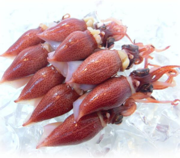 ホタルイカ 春の新物 釜揚げ 蛍烏賊 ボイルホタルイカ 富山湾産350g×2 冷凍・釜揚ホタルイカ2 P・ (2パック) - 画像 (5)