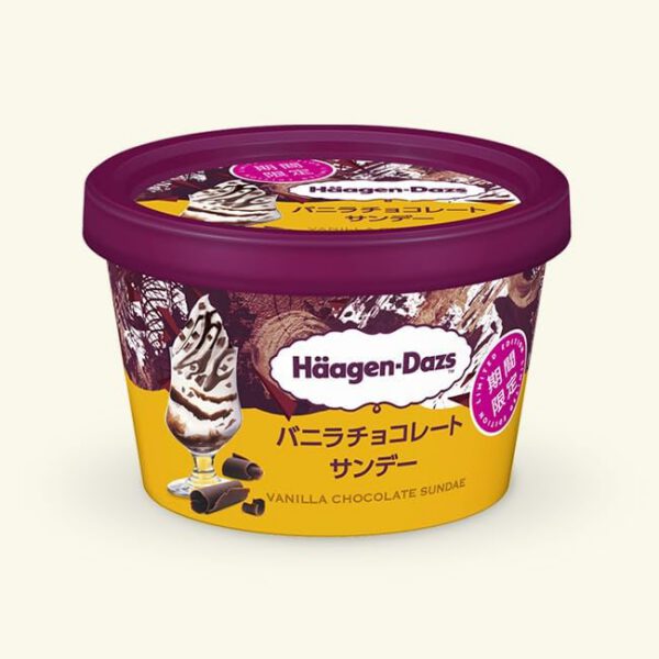 ハーゲンダッツ バニラチョコレートサンデー 110ml (12)
