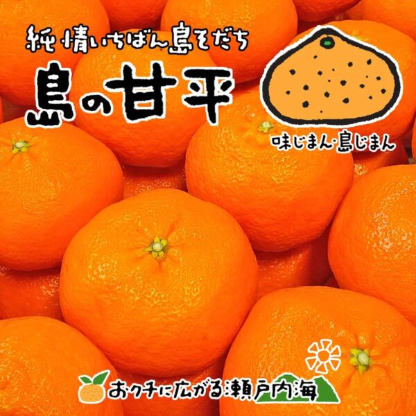 希望の島 甘平 1kg 訳あり品 サイズ込 愛媛 中島産 みかん 柑橘 かんぺい