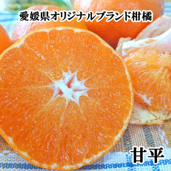 希望の島 甘平 1kg 訳あり品 サイズ込 愛媛 中島産 みかん 柑橘 かんぺい - 画像 (5)