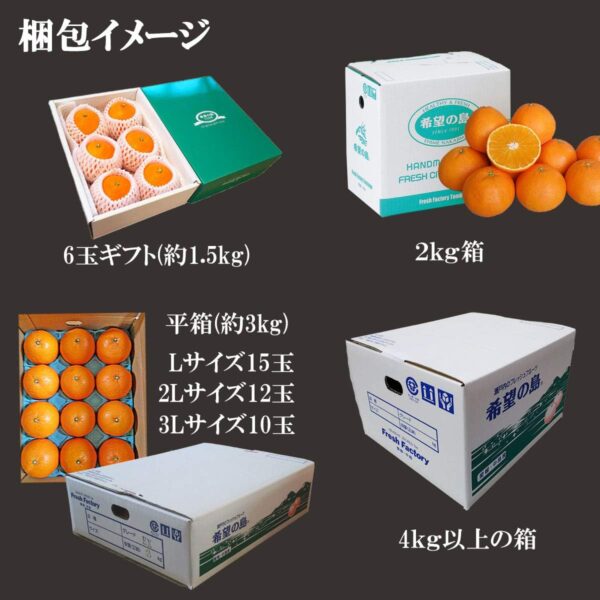 希望の島 甘平 1kg 訳あり品 サイズ込 愛媛 中島産 みかん 柑橘 かんぺい - 画像 (5)