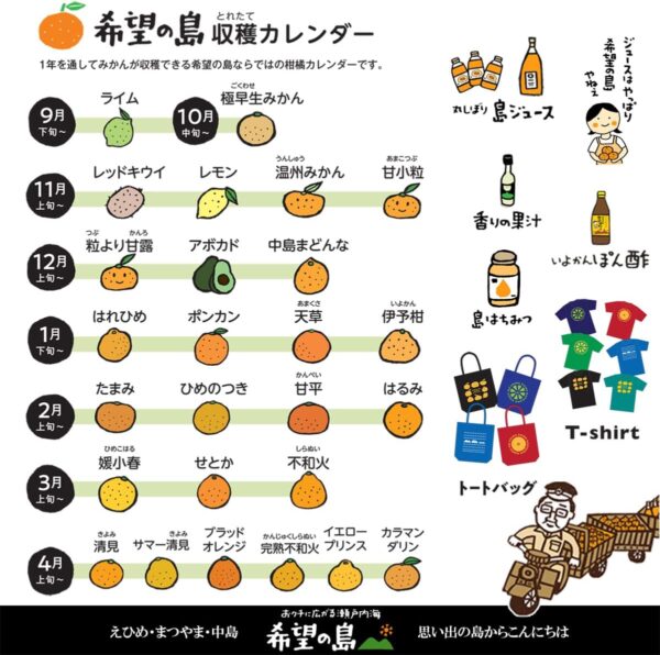 希望の島 甘平 1kg 訳あり品 サイズ込 愛媛 中島産 みかん 柑橘 かんぺい - 画像 (6)