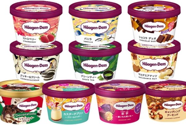 ハーゲンダッツ アイスクリーム ミニカップ10個 ギフト セット