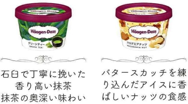 ハーゲンダッツ アイスクリーム ミニカップ10個 ギフト セット - 画像 (4)