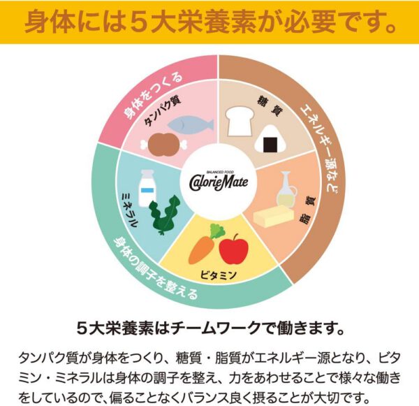 大塚製薬 カロリーメイト ブロック チョコレート 4本×30個 - 画像 (2)