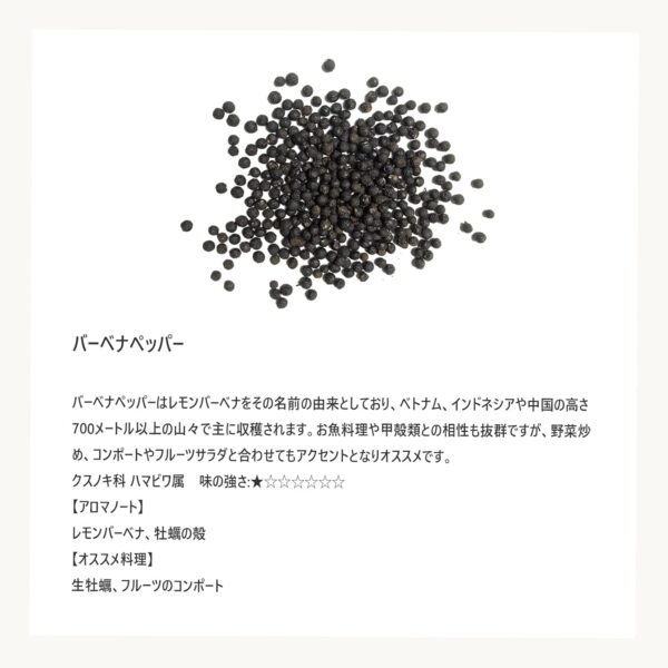 Terre exotique テールエグゾティック バーベナペッパー 60g 【スパイス】 - 画像 (3)