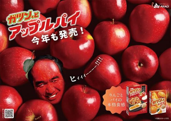 赤城乳業 ガツンとアップルパイ55ml×5本×7箱 - 画像 (3)