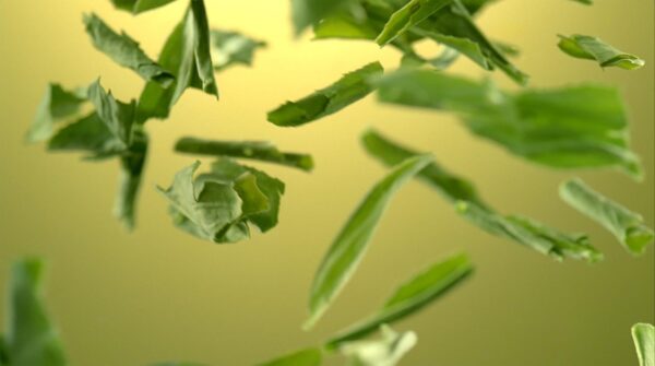 [2CS]伊藤園 おーいお茶 緑茶 (2L×6本)×2箱 - 画像 (5)
