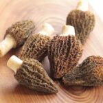 フレッシュモリーユ茸(アミガサ茸)、生キノコ、250g