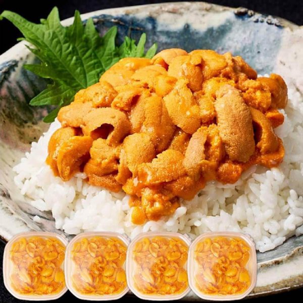 塩水うに 【札幌場外市場】 【100g × 4個セット】 バフンウニ 北方四島産 (ロシア産) 【丸市岡田商店】