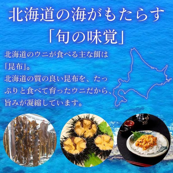 塩水うに 【札幌場外市場】 【100g × 4個セット】 バフンウニ 北方四島産 (ロシア産) 【丸市岡田商店】 - 画像 (3)