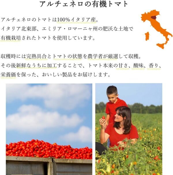 ALCE NERO(アルチェネロ) 有機 粗ごし トマトピューレー 500g (オーガニック イタリア産 2倍濃縮) 有機粗ごしピューレー - 画像 (6)