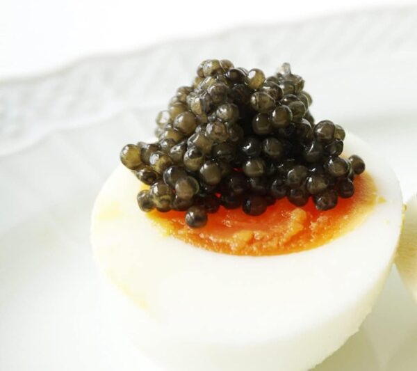キャビア オシェトラ パスチュライズ 50g瓶入り フランス産 caviar オシェトラ オセトラ - 画像 (2)