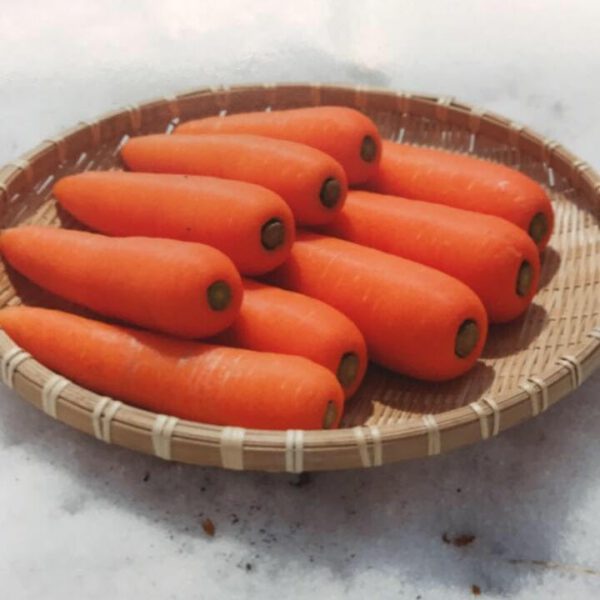 南八甲田山産 にんじん 約1kg10本前後