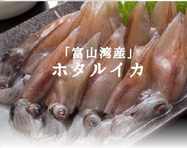 ホタルイカ 富山湾産ホタルイカ約750g(250g×3パック) - 画像 (4)