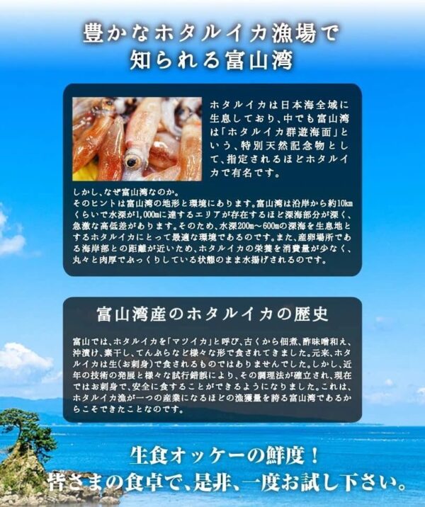 ホタルイカ 富山湾産ホタルイカ約750g(250g×3パック) - 画像 (5)