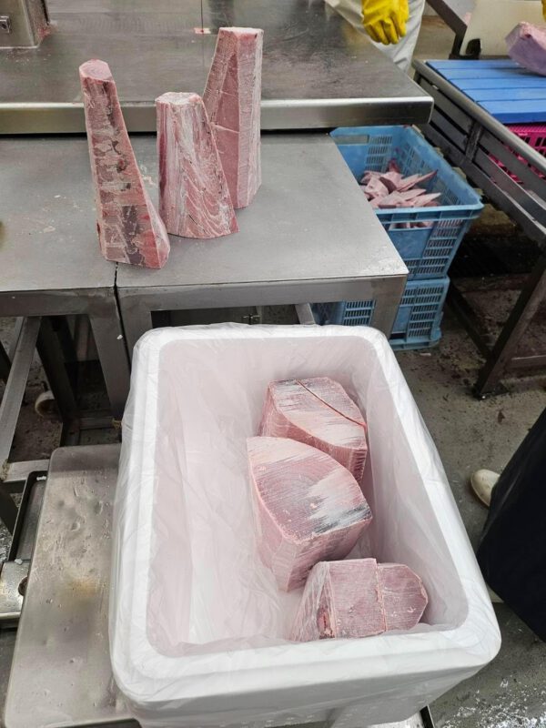三崎港直送 キハダマグロ 切り落とし 訳あり 端材詰合せ (1kg)冷凍 マグロ - 画像 (4)