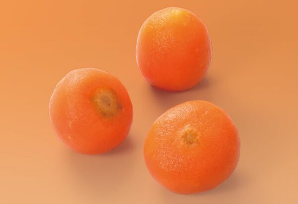 「冷凍」ノースイ パリジャン キャロット 500g×2 - 画像 (4)