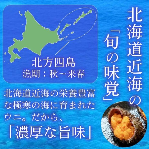 塩水うに 【札幌場外市場】 【100g × 3個セット】 バフンウニ 北方四島産 (ロシア産) 【丸市岡田商店】 - 画像 (3)